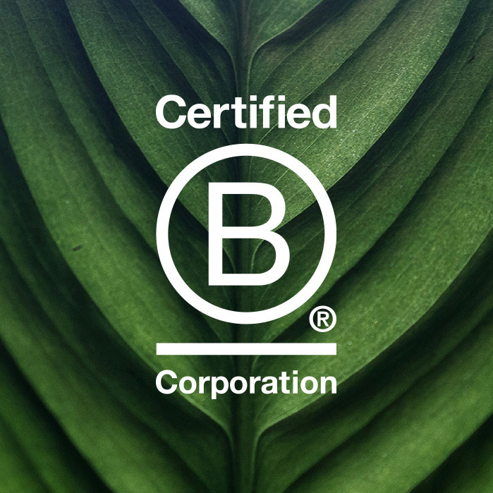 Green leaf behind white B Corp logo