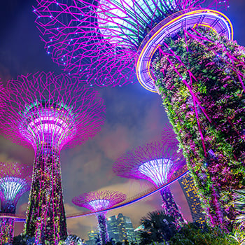 Light up trees, with flowers and greenery. In 2019 FundApps flourished, establishing an office in Singapore to support our growth in the APAC region.
