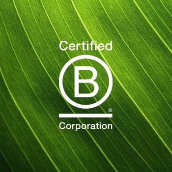 At FundApps we turned over a new leaf and proudly attained the official status of a B Corp in 2018. B Corp logo in white in front of a green leaf.