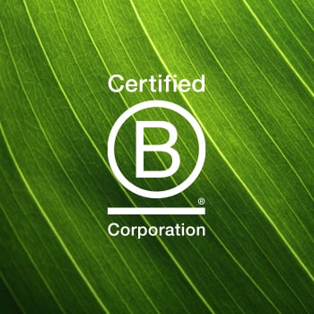At FundApps we turned over a new leaf and proudly attained the official status of a B-Corp in 2018. B-Corp logo in white in front of a green leaf. 