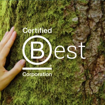 At FundApps we stand with people and the planet. We hold ourselves to high standards. Hand resting against a tree trunk with the B Corp logo in front.