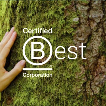 Hand resting against a tree trunk with B-Corp logo in front. At FundApps we stand with people and the planet. We hold ourselves to high standards. 