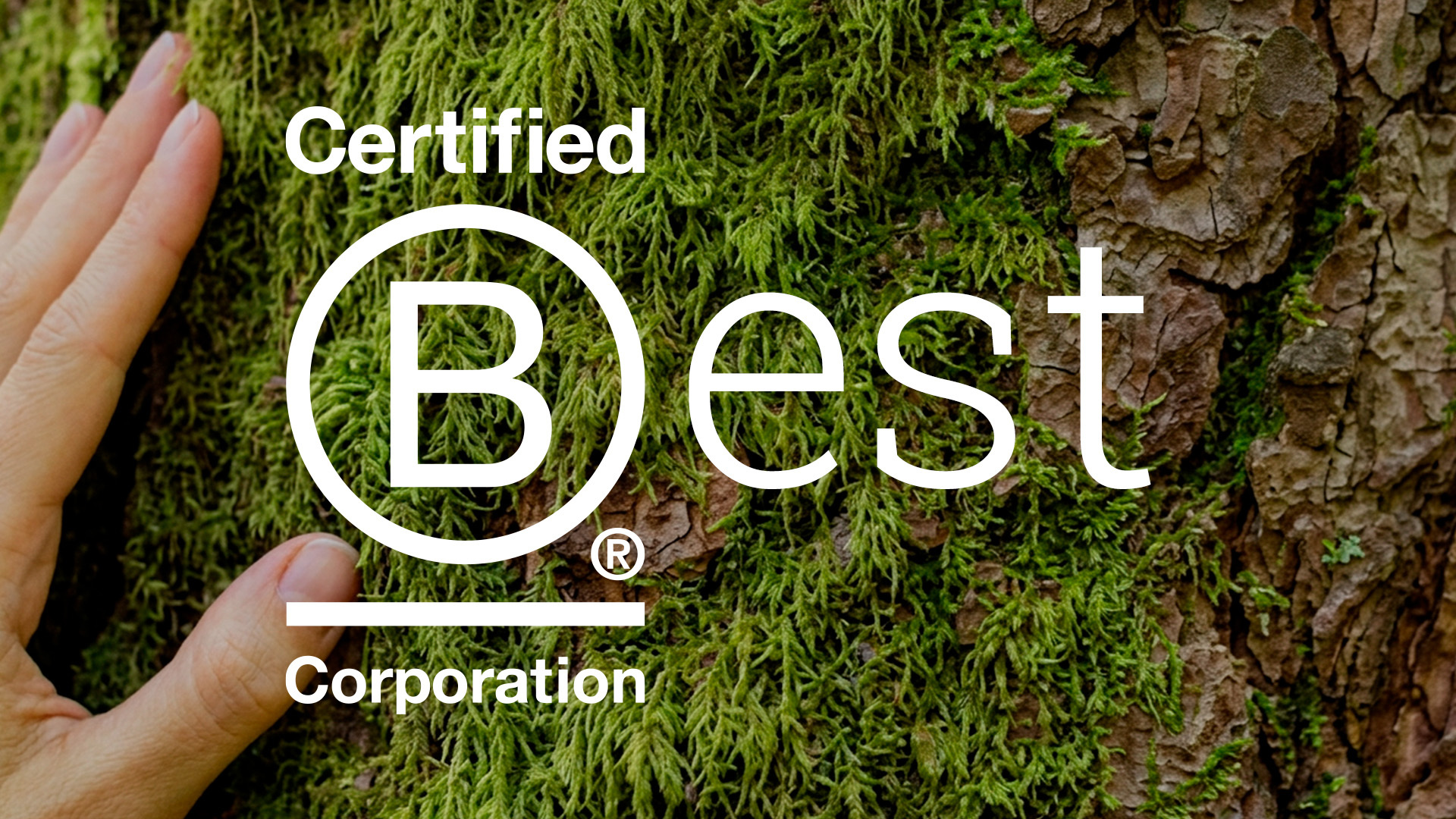 Hand on tree behind white B Corp logo next to the word Best