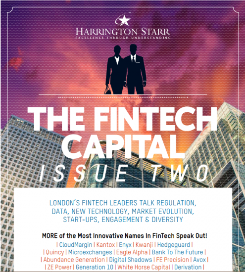 fintech-495x550.png