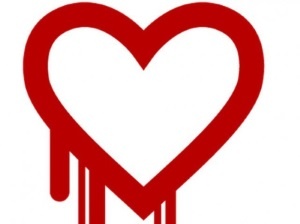 heart.jpg