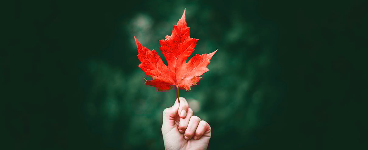 CCLFG uses FundApps Filing Manager solution to reduce risks in compliance processes. Red leaf