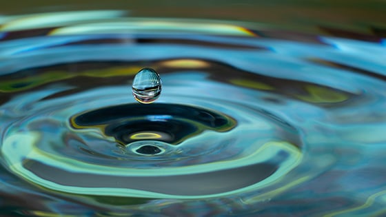 FundApps are all about making a splash. We keep it transparent. Become a LEADR and respond to regulatory change. Water droplets cause a ripple effect
