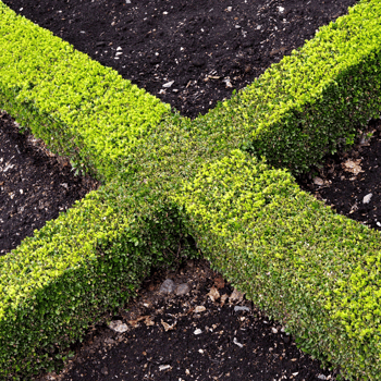 Position Limits Hedging Exemptions.png