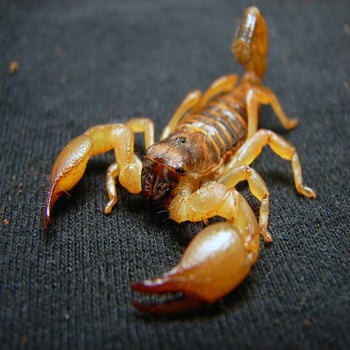 Don't be stung by fines!