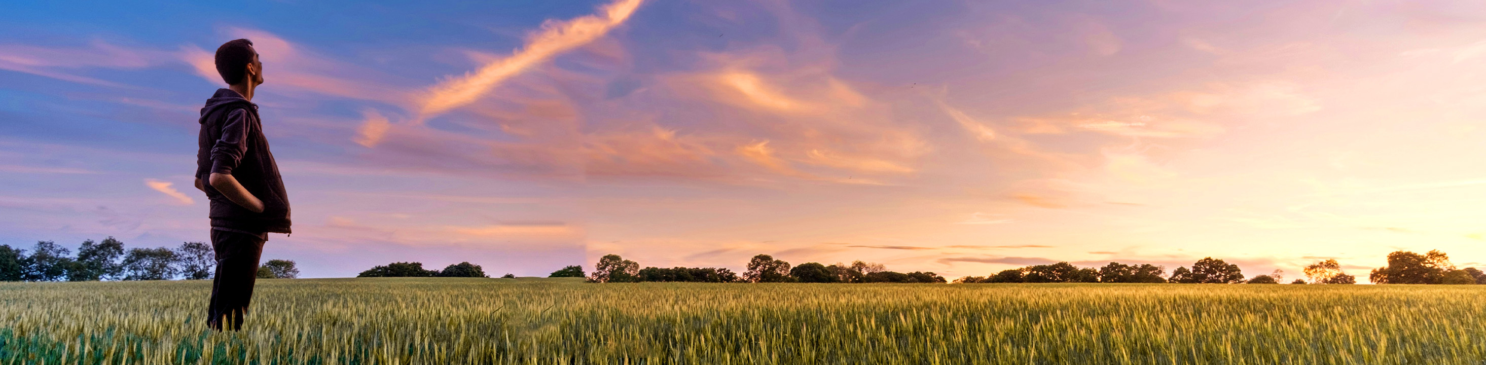 At FundApps we look beyond the numbers. Our beliefs involve valuing both people and the planet. Good people, good ethics means good business. Man looking at sunset