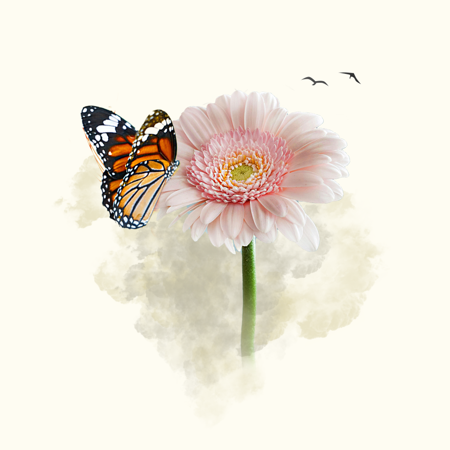 We rose to the occasion through investing in a line-up of removal projects that support the key technological removal tactics to smash our global climate goals. We owe a lot to our planet. Butterfly on flower