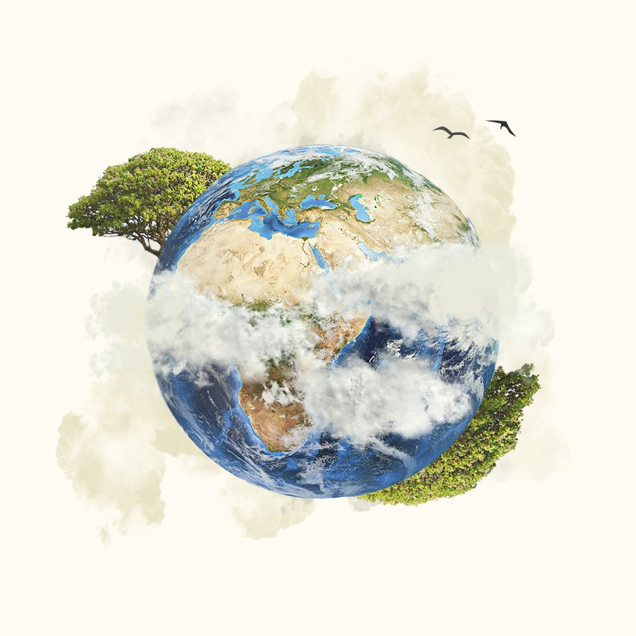 At FundApps we’ll be tackling our 2022 emissions with the same flair in 2024. We help all year round to stay carbon neutral. Clouds and trees surrounding the earth
