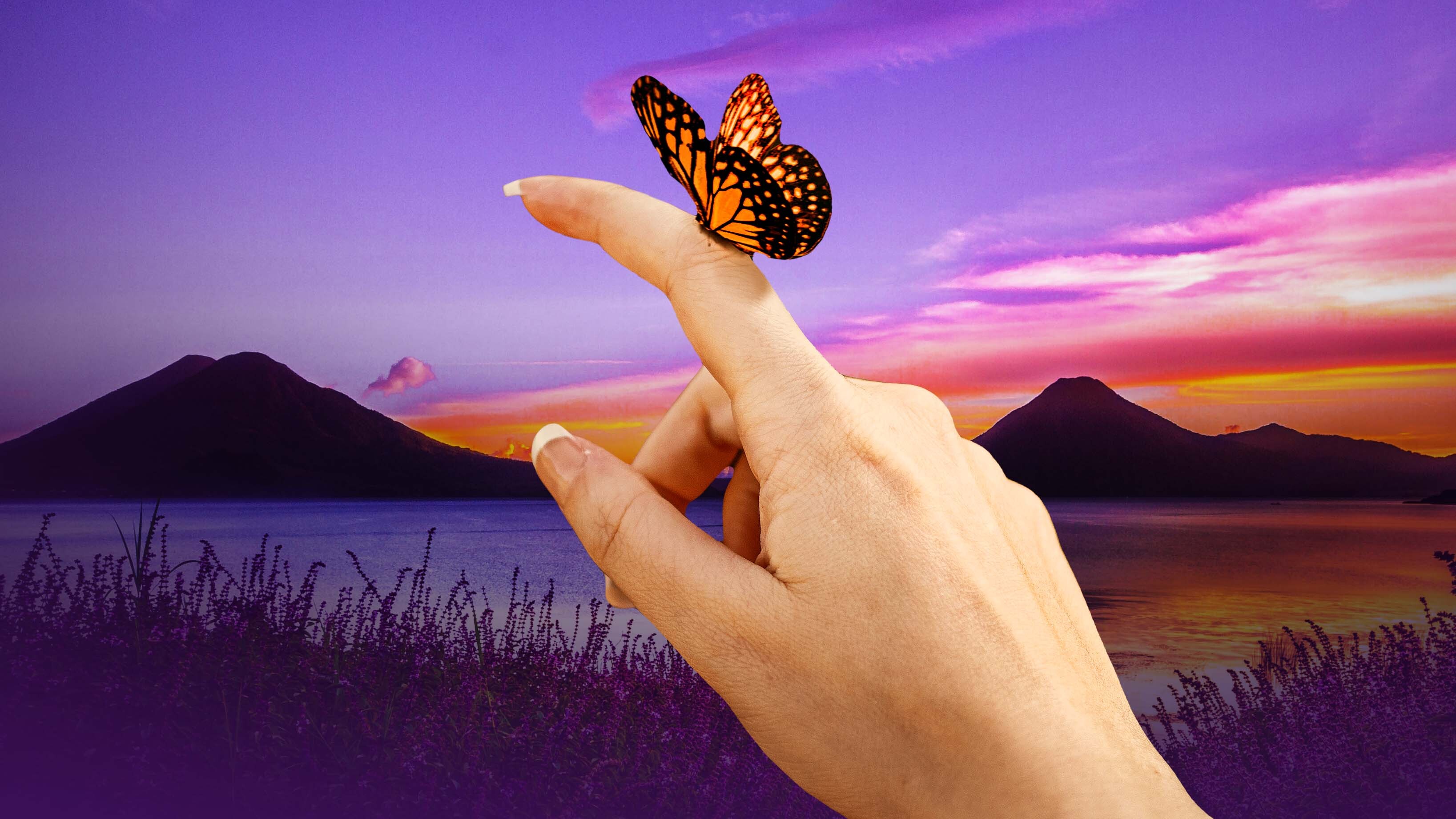 Butterfly on hand pointing to mountains and a dusky sunset. Take the journey with FundApps Pre-Trade API to automate your pre-trade checks. 