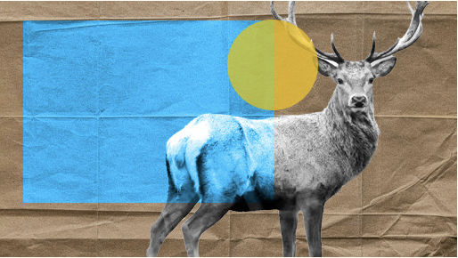 No more hunting for data with FundApps. Blue square and yellow circle behind a deer