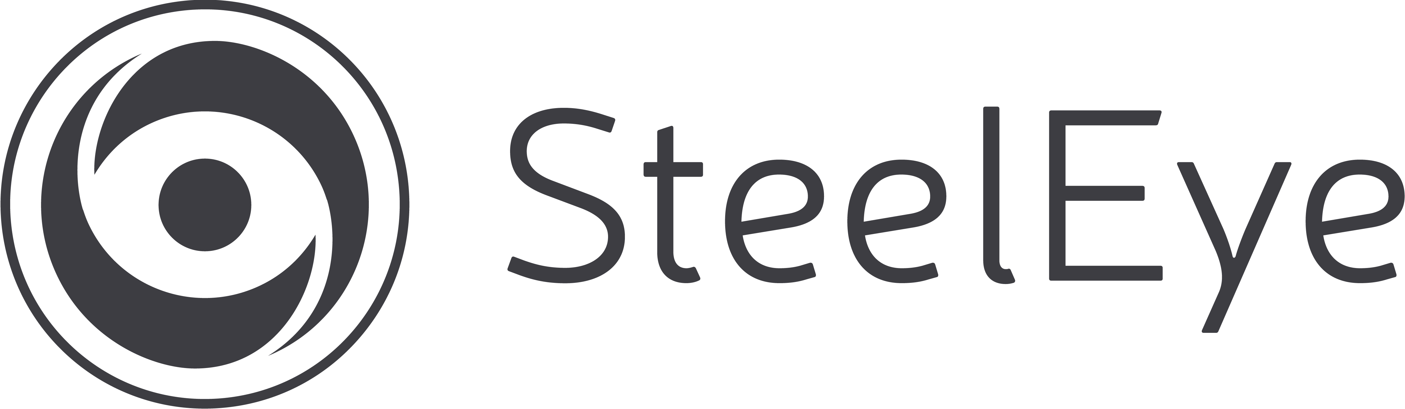 SteelEye_LightBkg_RGB_Logo_HighRes-1