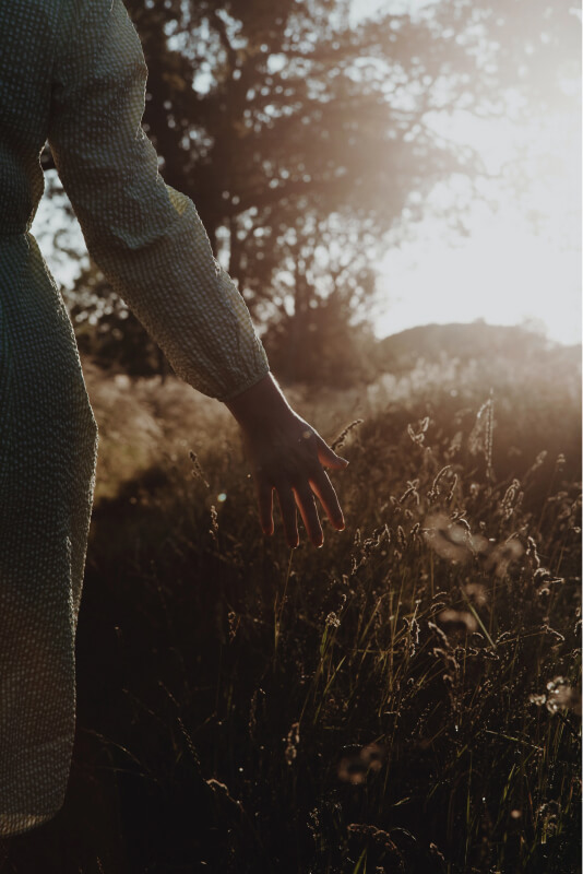 Woman's hands brushing along flowers in a field. Discover and grow your knowledge in compliance with FundApps Academy.